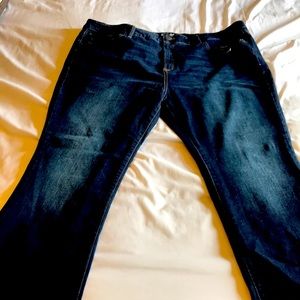 Terra and sky jeans 22w